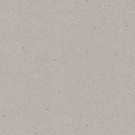 Limed Siltstone laminate — Gray Concrete