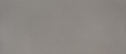 Fossil Gray quartz — Gray Stone
