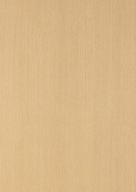 Trinity cabinet door style by Canyon Creek